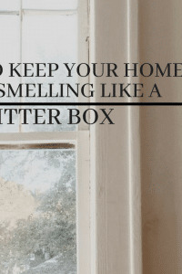 7 Tips to Keep Your Home From Smelling Like A Litter Box