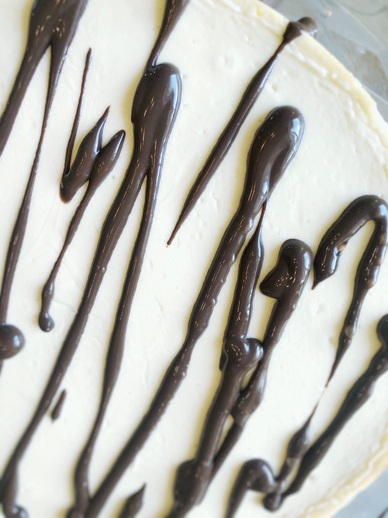 brownie cheesecake with chocolate topping close-up