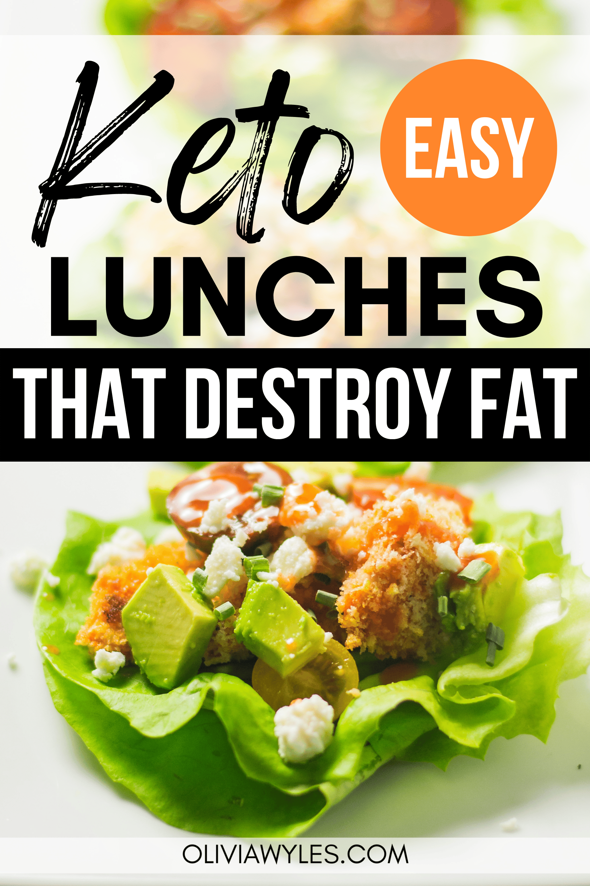 15 Great Quick & Easy 5-Minute Keto Lunch Ideas