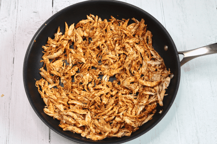 Shredded chicken with low carb seasoning mixed in