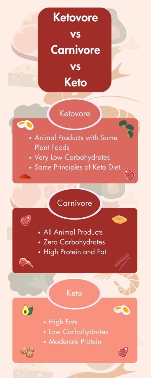 Keto Carnivore Ketovore Comparison Infographic