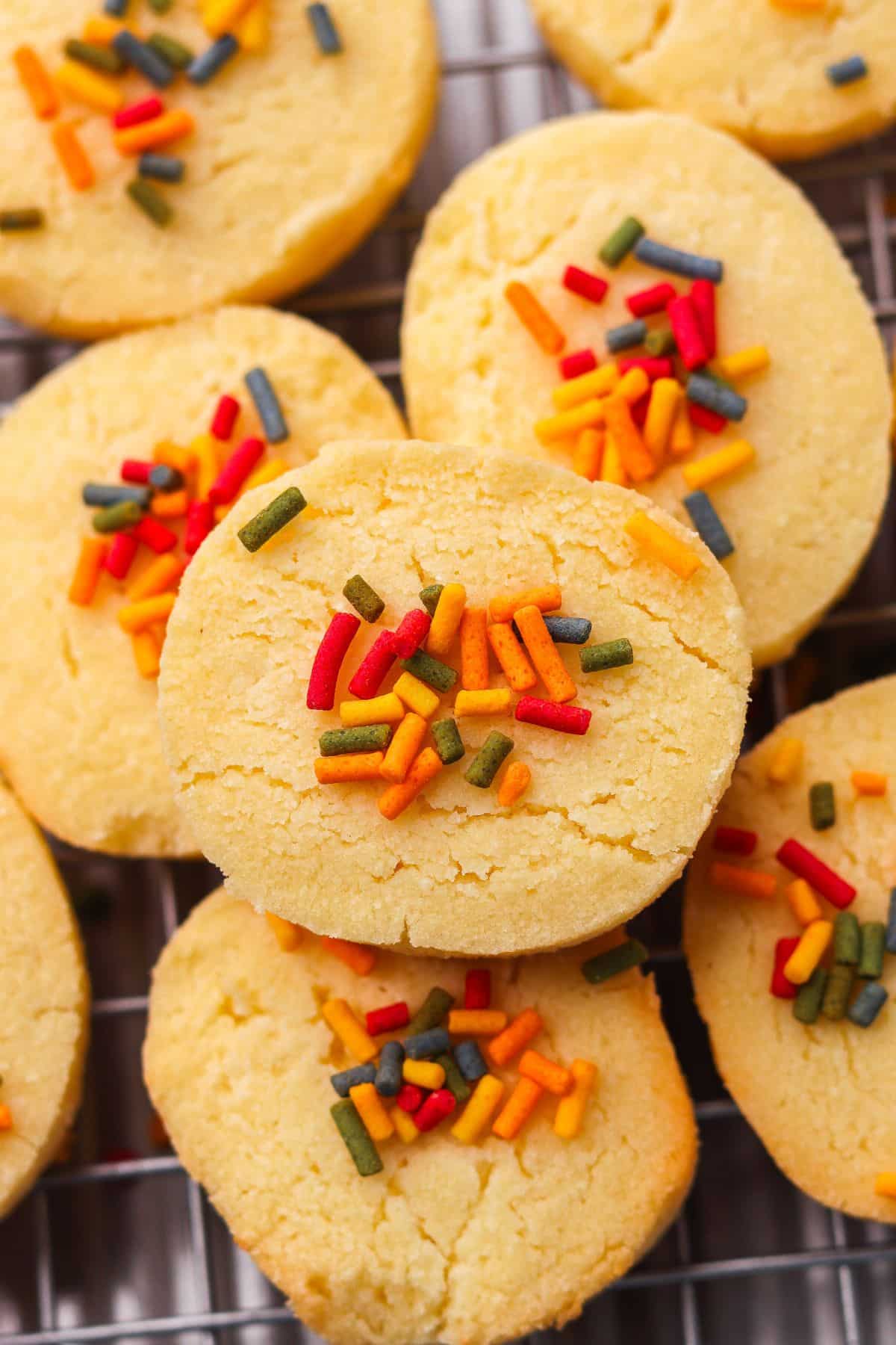 3 ingredient coconut flour sugar-free cookies with rainbow sprinkles on a cookie sheet