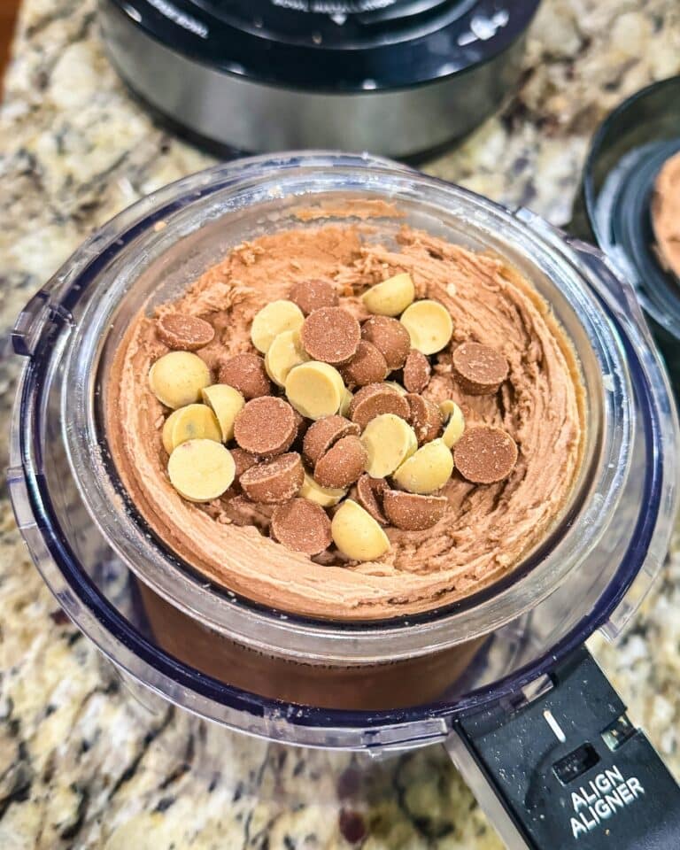 NINJA CREAMI DAIRY FREE PROTEIN ICE CREAM RECIPES visual data 6