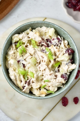 overhead view of cranberry chicken salad