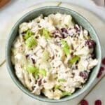overhead view of cranberry chicken salad