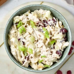 overhead view of cranberry chicken salad