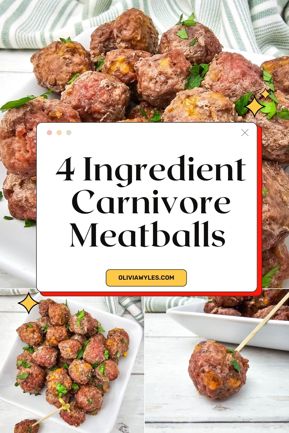 Carnivore Meatballs Pin