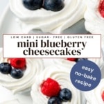 Mini blueberry cheesecakes topped with whipped cream, fresh blueberries, and raspberries on a white plate – low carb, sugar-free, gluten-free easy no-bake recipe.
