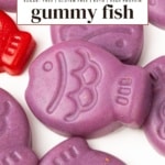 Pinterest graphic for Sugar-Free Gummy Fish, labeled sugar-free, gluten-free, keto, and high protein